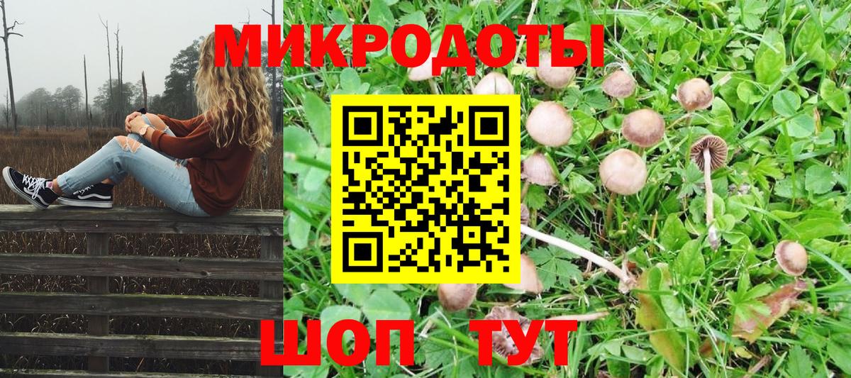 Мурманск  Галлюциногенные грибы Cubensis  Вход с VPN 