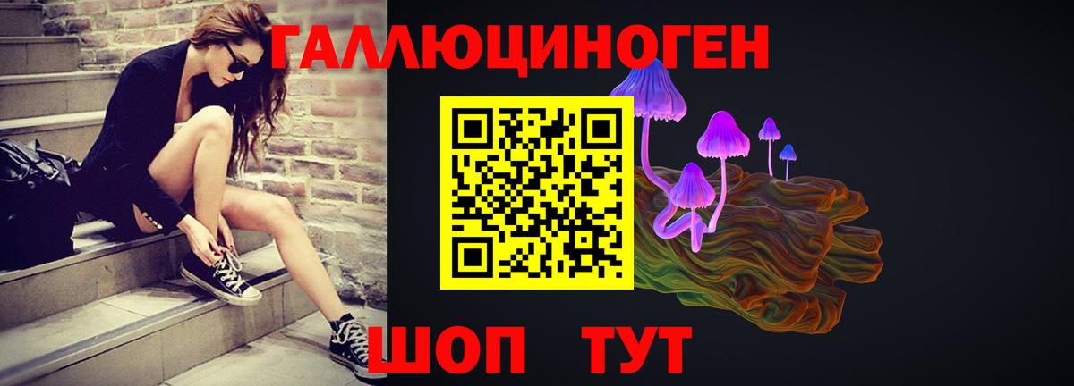 Галлюциногенные грибы GOLDEN TEACHER Мурманск
